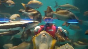 Огромный океанариум в Японии, о. Окинава Churaumi Aquarium Okinawa, Japan 美ら海水族館　沖縄