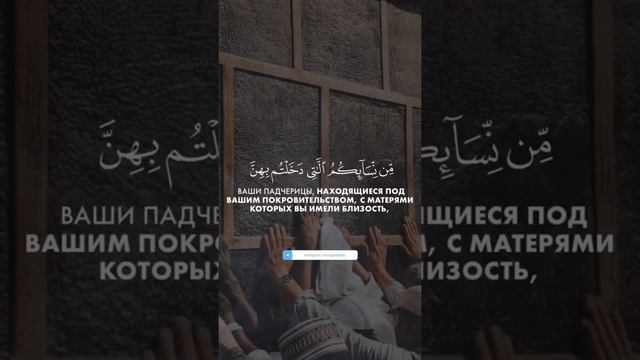 Сура: Ан-Ниса•[Женщины]. Аят: [23]. Чтец: Абдул-Азиз Аль Асири. смотреть онлайн