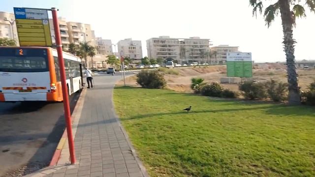 Израиль для детей...) И небольшая прогулка по Акко. смотреть онлайн