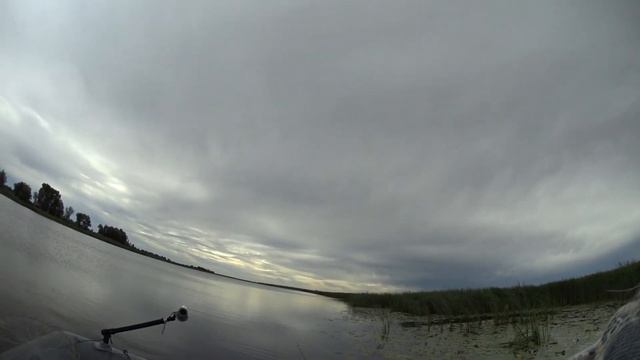 Джеркбейт выручит, когда щука бастует. #jerkbait #pike #volgaspintv #рыбалканащуку