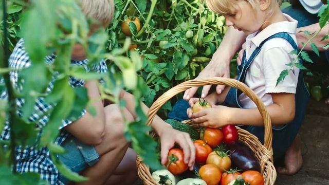 Подарочный набор БиоЭко, Маме понравится! смотреть онлайн