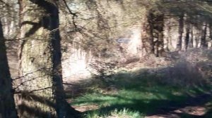 Дыши со мной)(2)