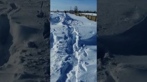 Саратовская обл Ершовский район посёлок Прудовой