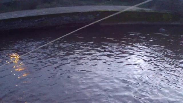 9 janvier 2023 pêche à la mouche dans le sichon смотреть онлайн