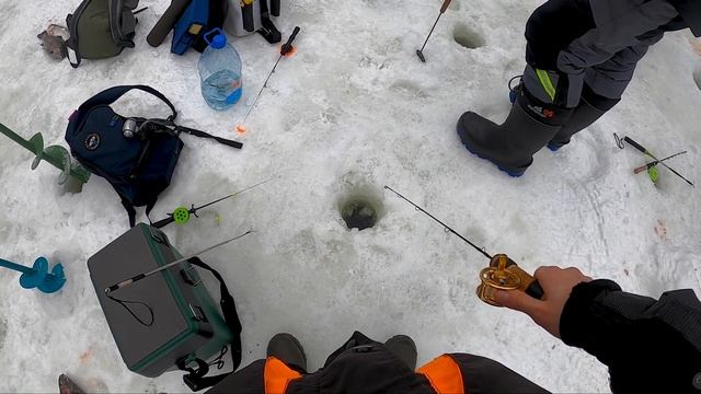 Ловля форели со льда на платнике. КЛЕВОЕ МЕСТО.  Лосиный остров. Верхний пруд