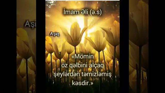 24 ноября 2019 г. смотреть онлайн