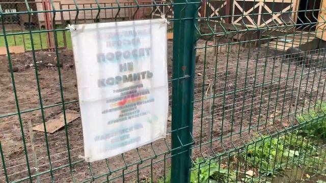 VLOG ❤ Последствия урагана. Шторм, ливень, гром и молния. База отдыха в Подмосковье. Фореста. смотреть онлайн