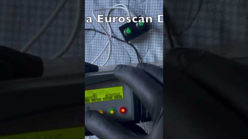 Настройка термописца Euroscan