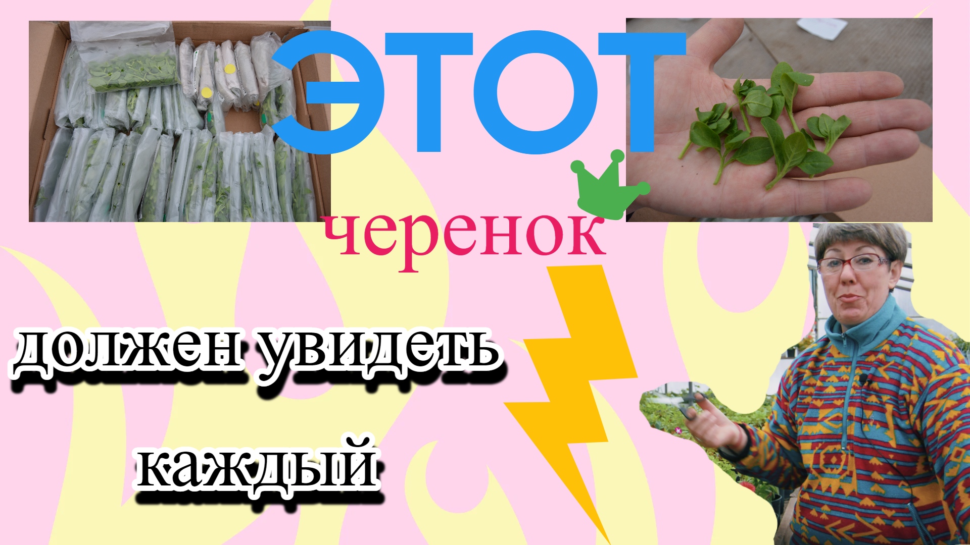 Еврочеренок из Европы. Расскажем и покажем всю правду. За качество отвечаем! смотреть онлайн