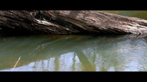 Stone Bridge Manassas National Battlefield Park 4K | Panasonic HC-X1