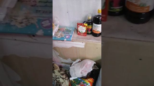 19 января 2023 г. смотреть онлайн