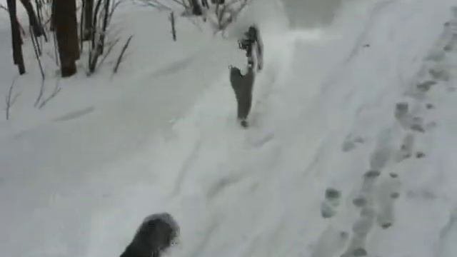 Снегопад в Челябинске, 25 апреля