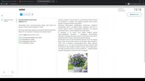 Вход и прохождение тестирования в разделе "Функциональная грамотность" на сайте resh.edu.ru