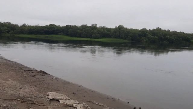 РЫБАЛКА НА КАМЧАТКЕ 2022 ПОЙМАЛ ПЕРВУЮ РЫБУ , СЛЕДЫ МЕДВЕДЯ , СЪЕЗДИЛИ НА ОХОТСКОЕ МОРЕ . смотреть онлайн