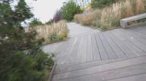 Кто такой Кейси Нейстат? 5 причин почему Кейси Нейстат вдохновляет!