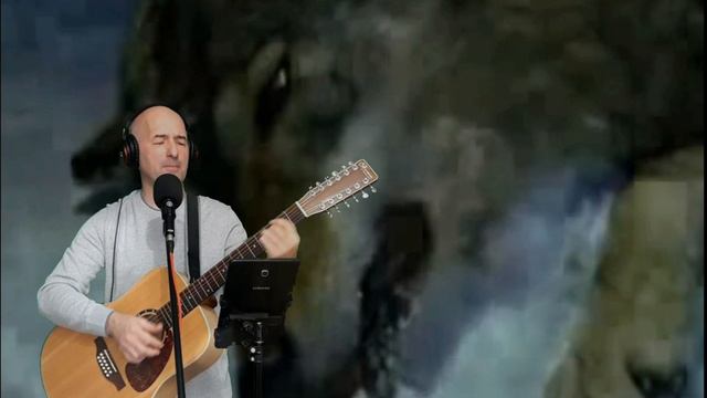 'ОХОТА НА ВОЛКОВ'_А.Розенбаум / кавер