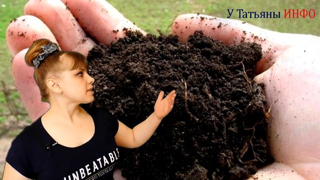 Секреты выращивания картофеля