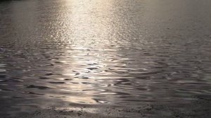 НОЧНАЯ  РЕКА  Футаж