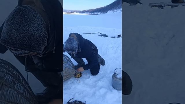 ОГО налим попал в корчагу #4.??????? смотреть онлайн