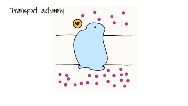 Cytologia 3 - Transport przez błony komórkowe - biologia liceum poziom rozszerzony matura смотреть онлайн