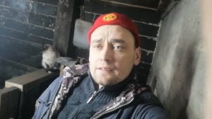 бактерии СКОТНЫЙ ДВОР работают