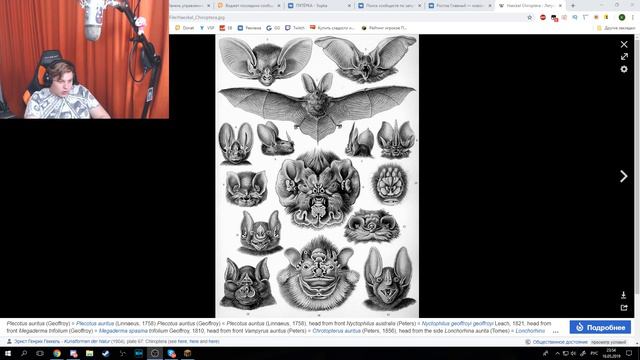 КАКИМ ЖИВОТНЫМ ХОЧЕТ БЫТЬ ПЯТЁРКА? (Нарезка со стрима 5opka) смотреть онлайн