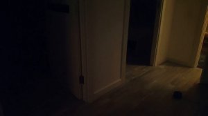 Две комнаты, четыре выключателя и одна колонка с Алисой