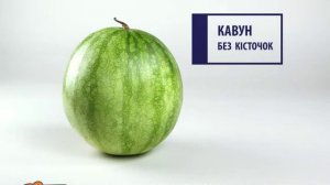 Сильпо ТВ арбуз