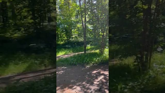 Обязательно к посещению. Парк "Малевича". смотреть онлайн