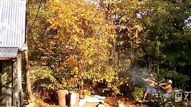 Ольха смотреть онлайн