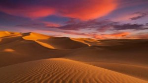 Музыкальная композиция БАПАХКА21 на фоне пустыни