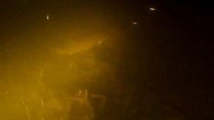 Аргази 7.09.2024