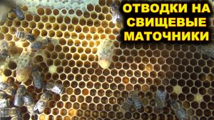 Сборный отводок на маточник.