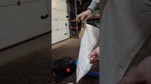 Обзор пылесоса BOSCH GAS 12-25 PL и ,что с ним случилось через 1,5 года использования?