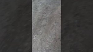 Ваз 2112 заводится и сразу глохнет. Дмрв