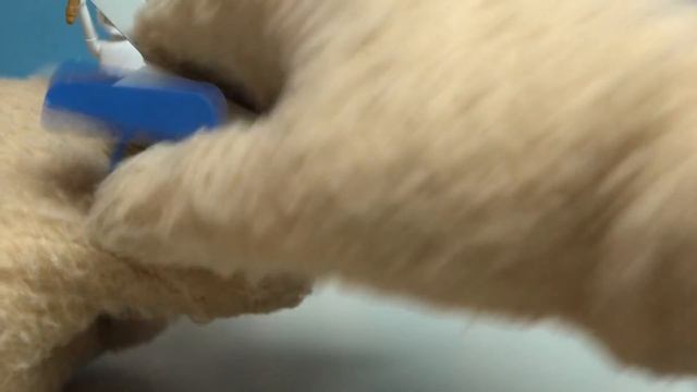 Minecraft Mini Figures Series 12 GREEK MYTHOLOGY Blind Box Collection Unboxing! смотреть онлайн