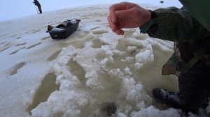 Разловил веснянку. Безнасадка со своей игрой