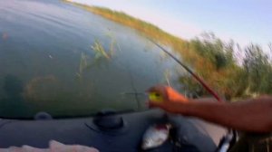 ЗИМНЯЯ УДОЧКА ЛЕТОМ!!\\РЫБАЛКА С ЛОДКИ НА САЗАНА.