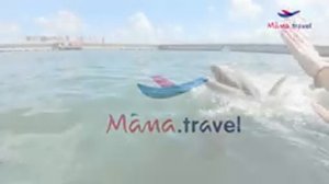 MAMA TRAVEL : Морское путешествие "Crucero del Sol"
