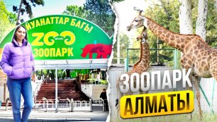 Алматинский зоопарк. Зелёный базар. Цены на продукты. 🇰🇿