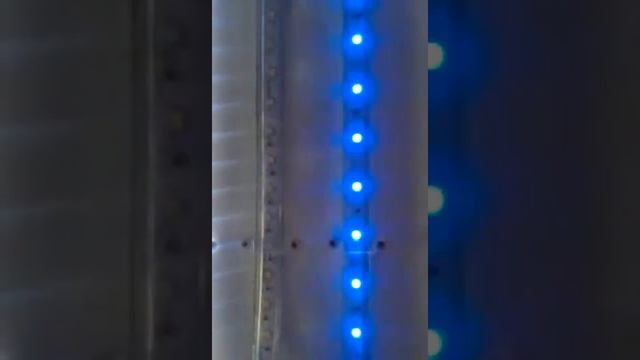 Тейп Лайт 60SMD3528 чейзинг смотреть онлайн