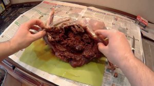 Полуоболочка 7,62 х 54 R против Глухаря! Разделка глухаря. Тушенка из глухаря в автоклаве (гид)