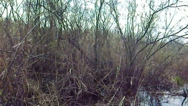 Сплав по реке Люнда. Болота. Привал смотреть онлайн