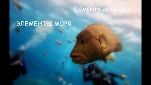 Элементы моря