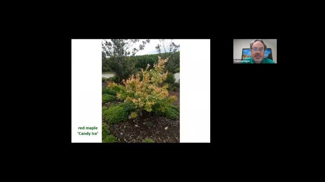 OSU Extension: From Zones 7a to 9b смотреть онлайн