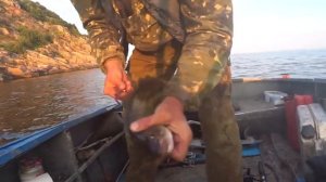 Ловля рыбы | Клюнула РЫБА ЗУБАТКА!