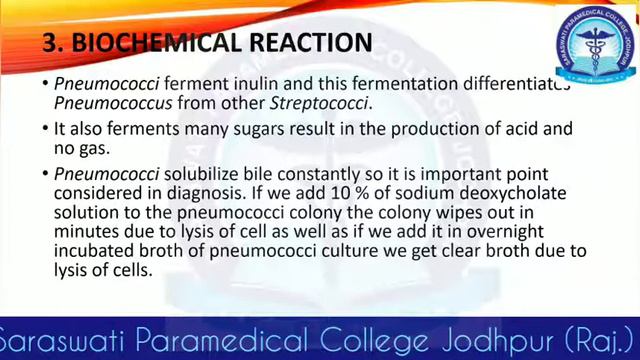Streptococcus смотреть онлайн