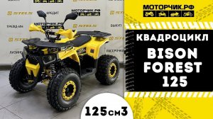 Квадроцикл Bison Forest 125