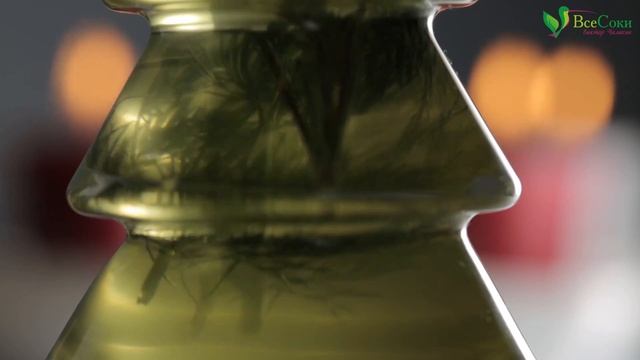 Как сделать масло холодного отжима с травами дома? Рецепт для шнекового маслопресса холодного отжим