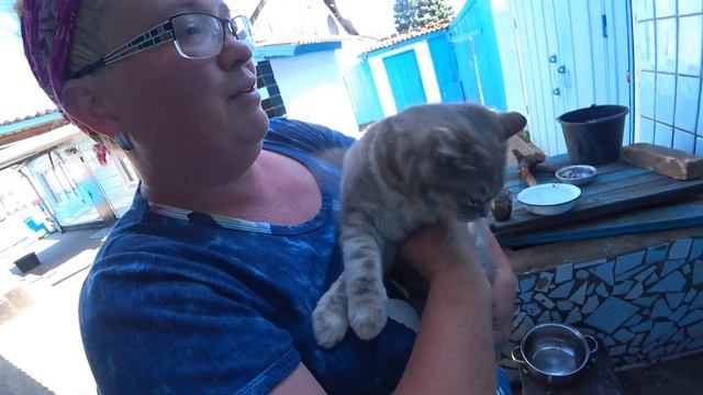 Абсолютно зеленый салат. Рецепт от Фина.